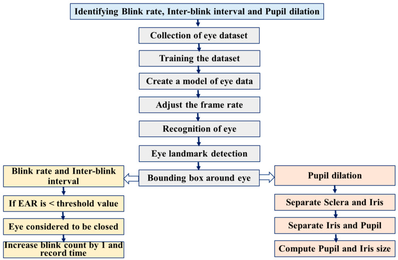 Digital Eye Strain Monitoring for One-Hour Smartphone Engagement Through Eye Activity Measurement System.