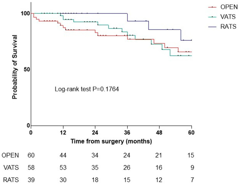 A Precision Surgery Framework for Lung Resection: Robotic, Video-Assisted, and Open Segmentectomy.