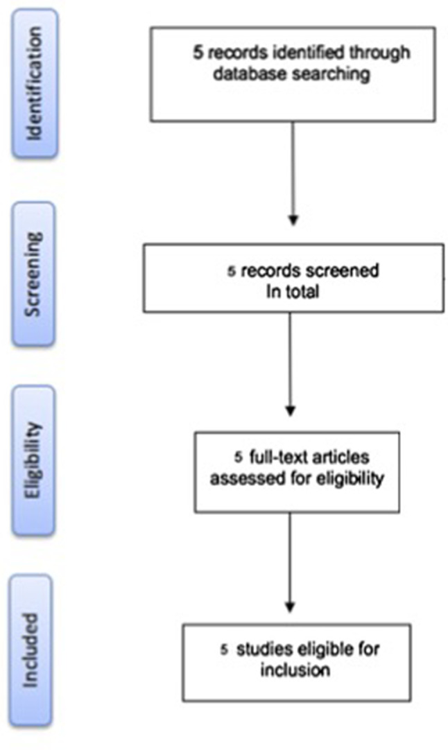 Social media use and roles of self-objectification, self-compassion and body image concerns: a systematic review.