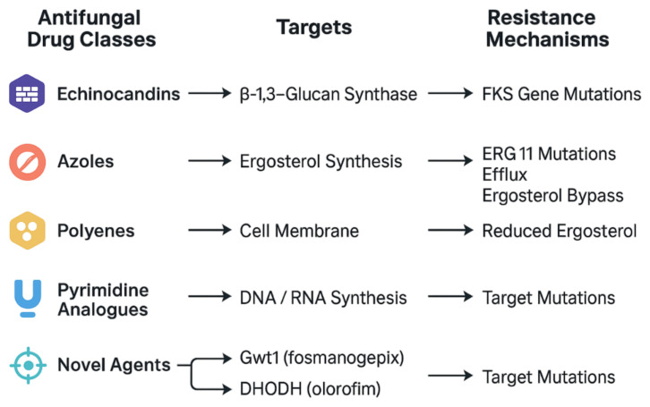 Antifungal Agents in the 21st Century: Advances, Challenges, and Future Perspectives.