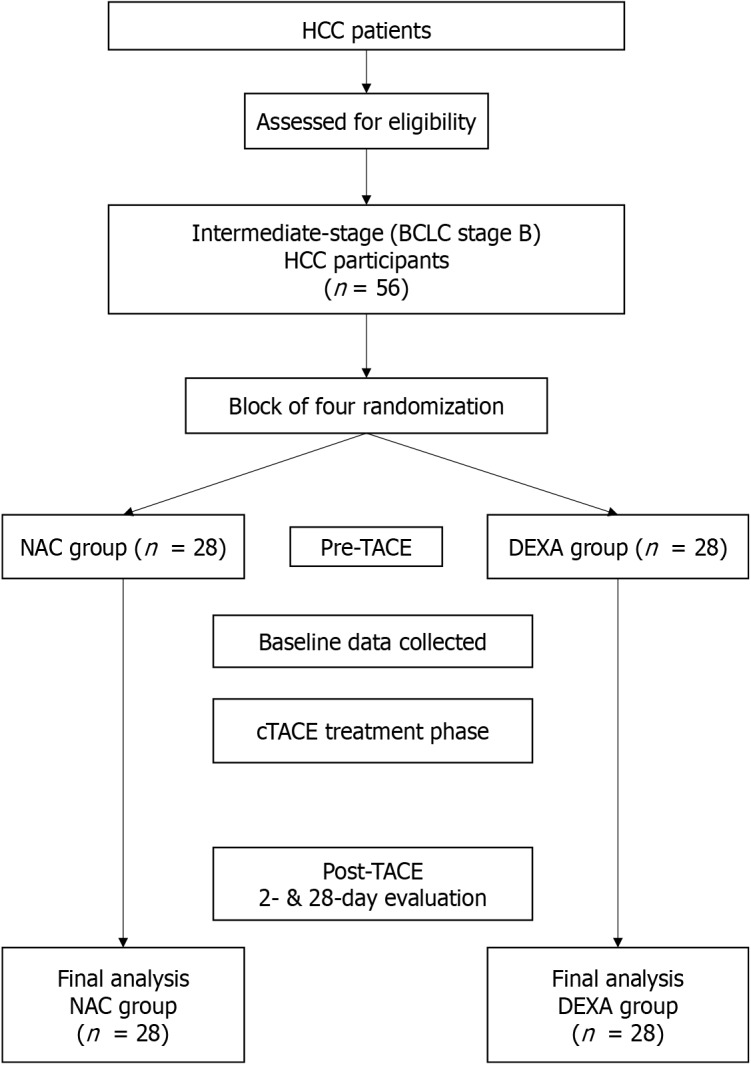Efficacy of N-acetylcysteine <i>vs</i> dexamethasone in preventing postembolization syndrome post-transarterial chemoembolization in hepatocellular carcinoma: A randomized controlled trial.
