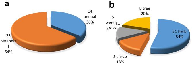 Plant-based traditional remedies and their role in public health: ethnomedicinal perspectives for a growing population.