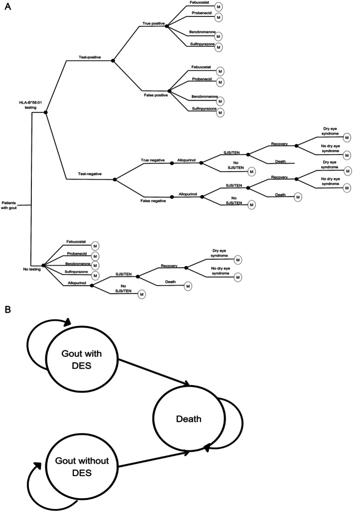 An Updated Economic Evaluation of HLA-B*58:01 Genotype Testing in Gouty Patients for Preventing Severe Allopurinol Hypersensitivity in Thailand.