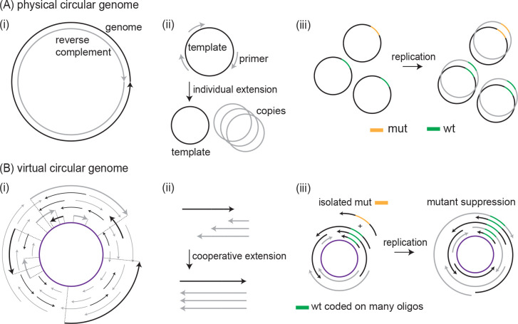 Suppression of errors in collectively coded information.