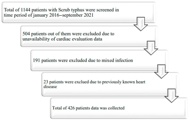 Cardiovascular Manifestations and Outcomes in Patients with Scrub Typhus Admitted to a Tertiary Care Center in the Coastal Karnataka Region in India.