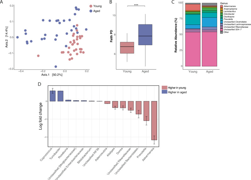 The microbiome is associated with obesity-related metabolome signature in the process of aging.