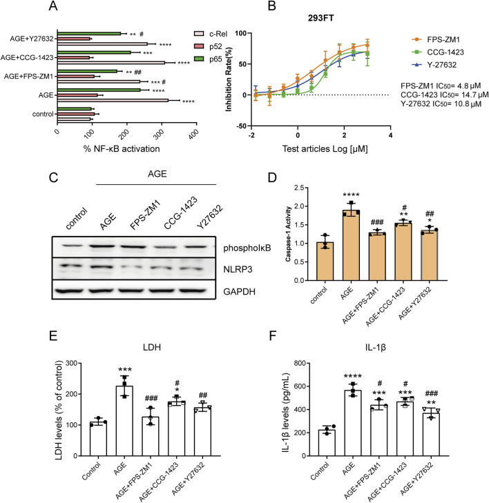 Mechanisms of AGE-induced VSMC phenotypic switching and macrophage modulation in human abdominal aortic aneurysms.