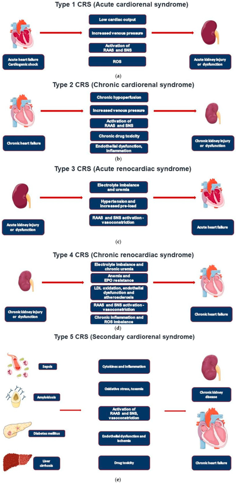 Cardiorenal Syndrome in the Elderly: Challenges and Considerations.