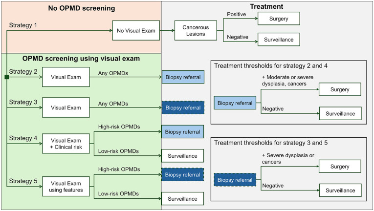 Simulation Modeling of Oral Cancer Development with Risk Stratification: How Potential Screening Programs Can Be Evaluated.