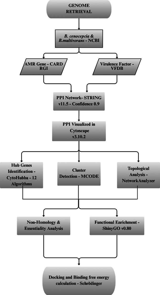 Genome-wide analysis of Burkholderia for the management of antimicrobial-resistant in cystic fibrosis patients.