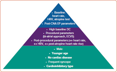 Cardioneuroablation for Asystolic Reflex Syncope: How to Identify the Best Candidate and How to Predict Success.