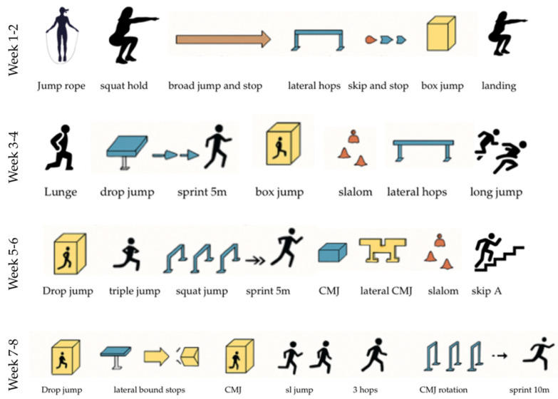 Impact of an Eight-Week Plyometric Training Intervention on Neuromuscular Performance, Musculotendinous Stiffness, and Directional Speed in Elite Polish Badminton Athletes.