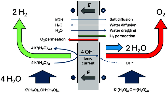 Ionic Transport Aspects of Water Electrolysis in Alkaline Media.