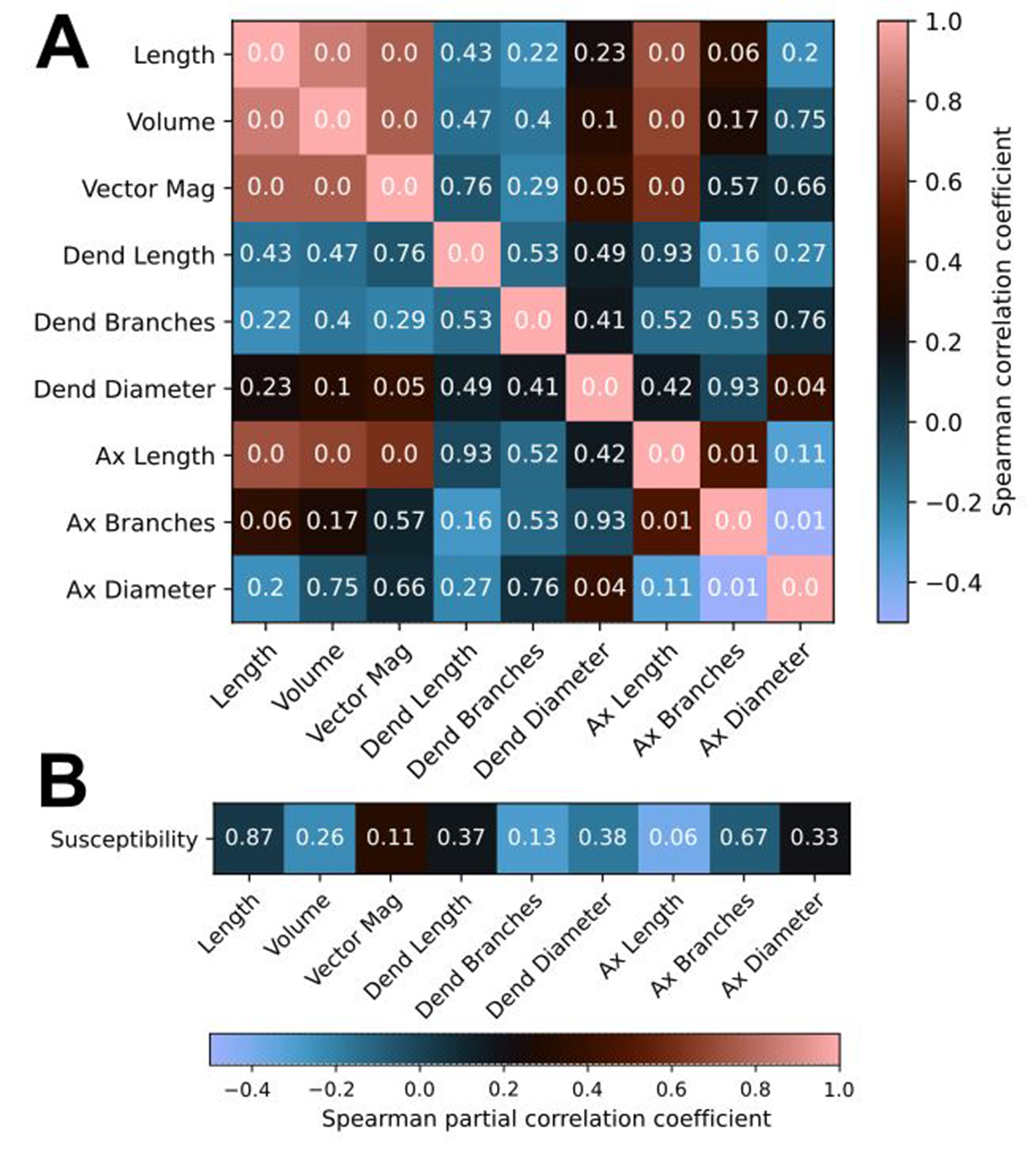 Morphological variability may limit single-cell specificity to electric field stimulation.