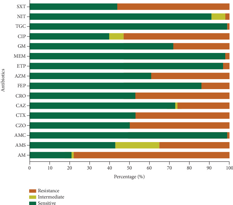 A Cross-Sectional Study of Extended-Spectrum <i>β</i>-Lactamase-Producing <i>Escherichia coli</i> Isolated From Clinical Samples: Single-Center Investigation in Indonesia.