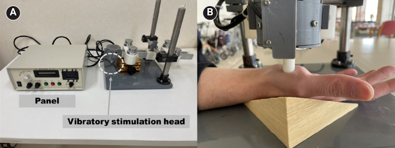 Unilateral Vibratory Stimulation Inhibits Contralateral Spinal Anterior Horn Cells in Homonymous Muscles for the First 75 Seconds.