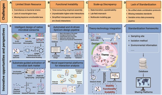Ecological design of high-performance synthetic microbial communities: from theoretical foundations to functional optimization.