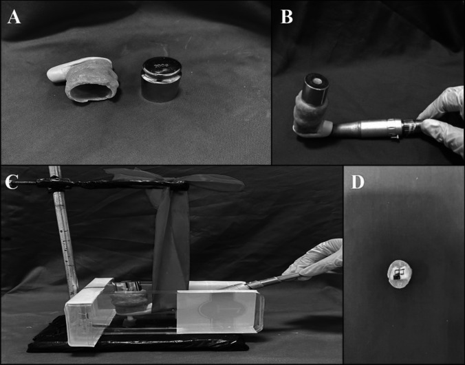 Impact of prophylaxis pastes and application techniques on immature enamel surface roughness: an in-vitro study.