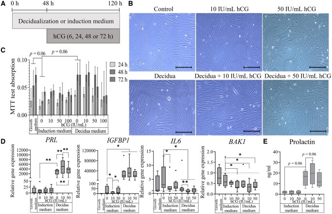 Evaluating endometrial response to human chorionic gonadotropin: alterations in epigenetic regulation and extracellular vesicle cargo of endometrial stromal cells.