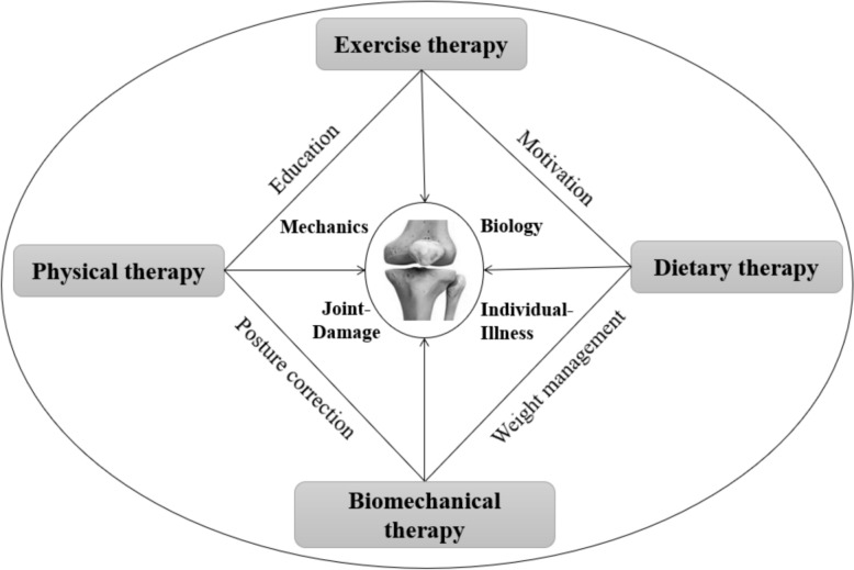 Knee osteoarthritis rehabilitation: an integrated framework of exercise, nutrition, biomechanics, and physical therapist guidance-a narrative review.
