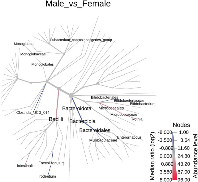Gestational exposure to HIV drugs alters intestinal mucosa-associated microbial diversity in adult rat offspring.