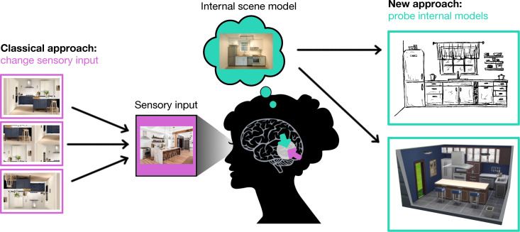 Characterizing internal models of the visual environment.