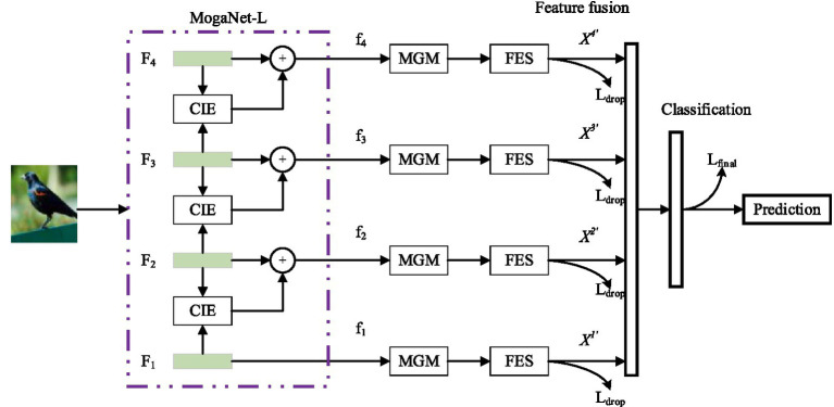 Fine-grained image classification using the MogaNet network and a multi-level gating mechanism.