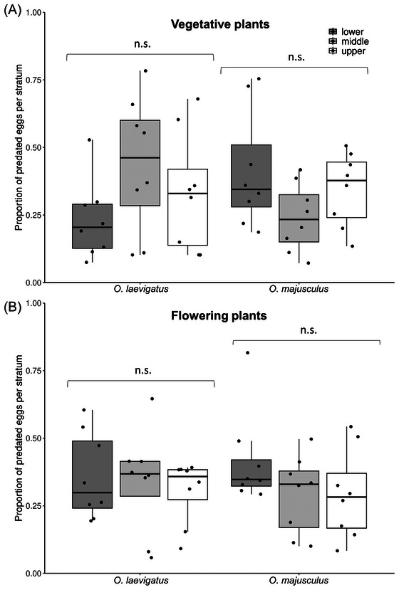 Differences in within-plant oviposition preferences and immature survival between Orius predators and the importance of spatial availability of prey.