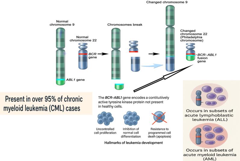 Biomarkers for colorectal cancer detection: An insight into colorectal cancer and FDA-approved biomarkers.