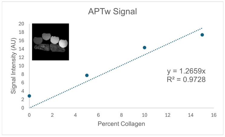 Feasibility of Sodium and Amide Proton Transfer-Weighted Magnetic Resonance Imaging Methods in Mild Steatotic Liver Disease.