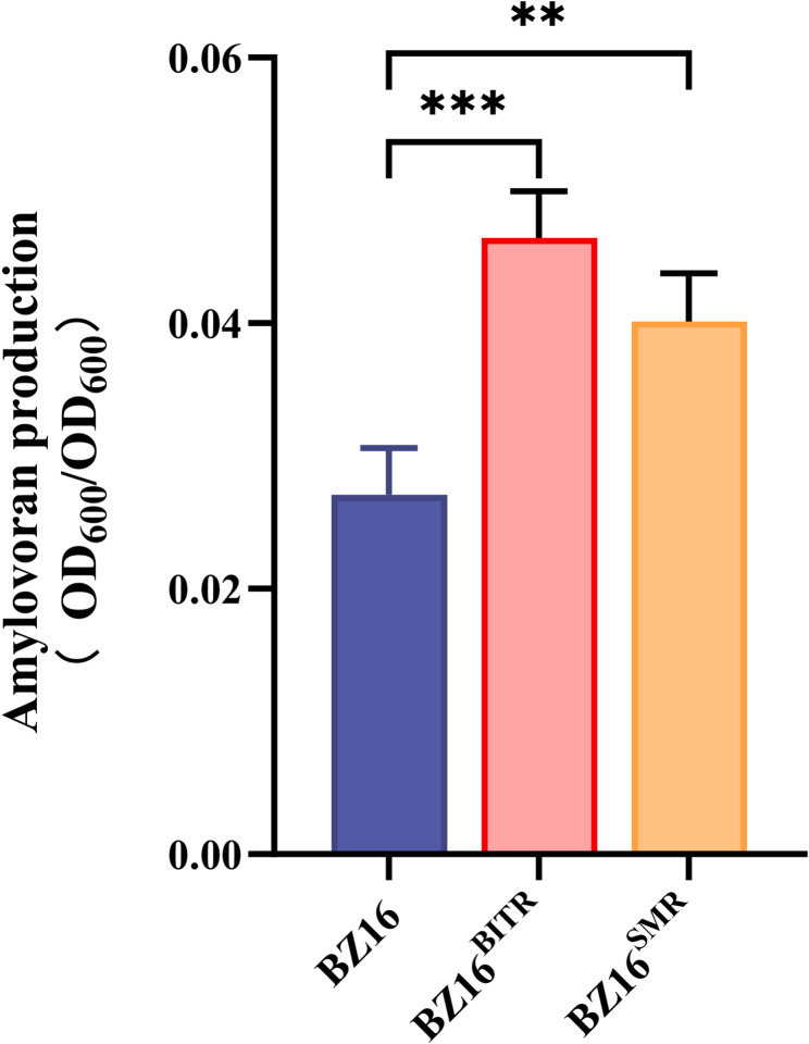Evaluation of the new antimicrobial benziothiazolinone for management of fire blight disease of pear.