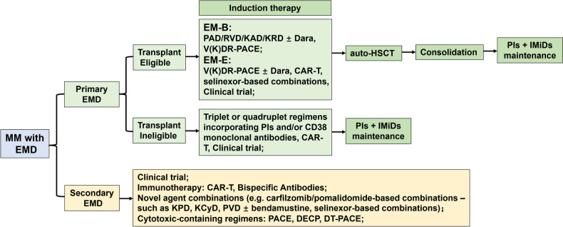 Therapeutic options for extramedullary involvement in multiple myeloma.
