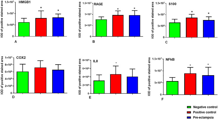 Inflammatory mediators and the RAGE pathway in placental tissues of pregnancies complicated by severe preeclampsia.