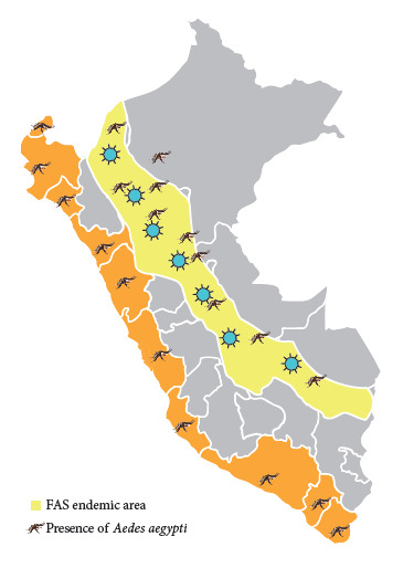 Yellow fever in Peru and the Americas and the latent risk of reurbanuzation: an avoidable threat.