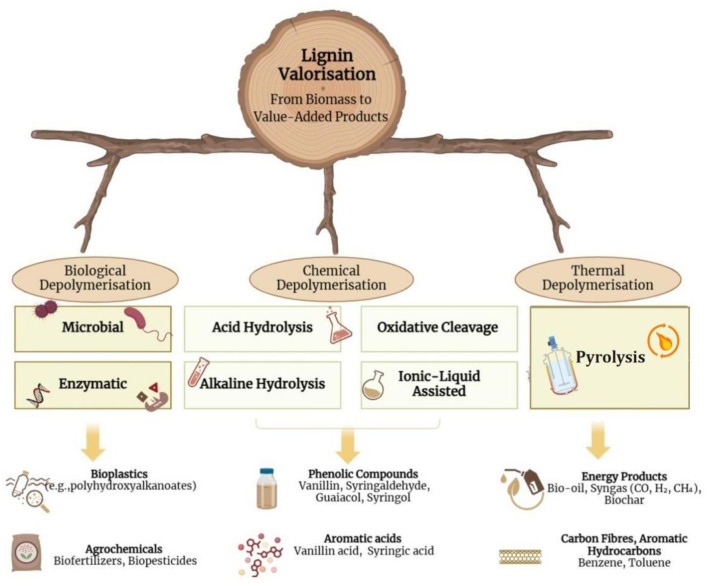 Sustainability through lignin valorization: recent innovations and applications driving industrial transformation.