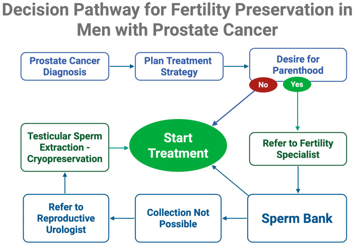 Prostate Cancer Treatments and Their Effects on Male Fertility: Mechanisms and Mitigation Strategies.