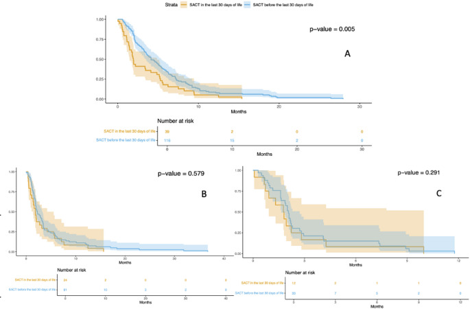 Systemic anticancer therapy during end of life in head and neck squamous cell carcinoma patients. A retrospective single center study.