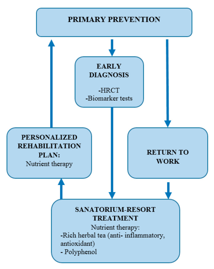 An Integrated Strategy for Preventing and Rehabilitating Dust-Induced Occupational Bronchopulmonary Diseases: A Scoping Review.
