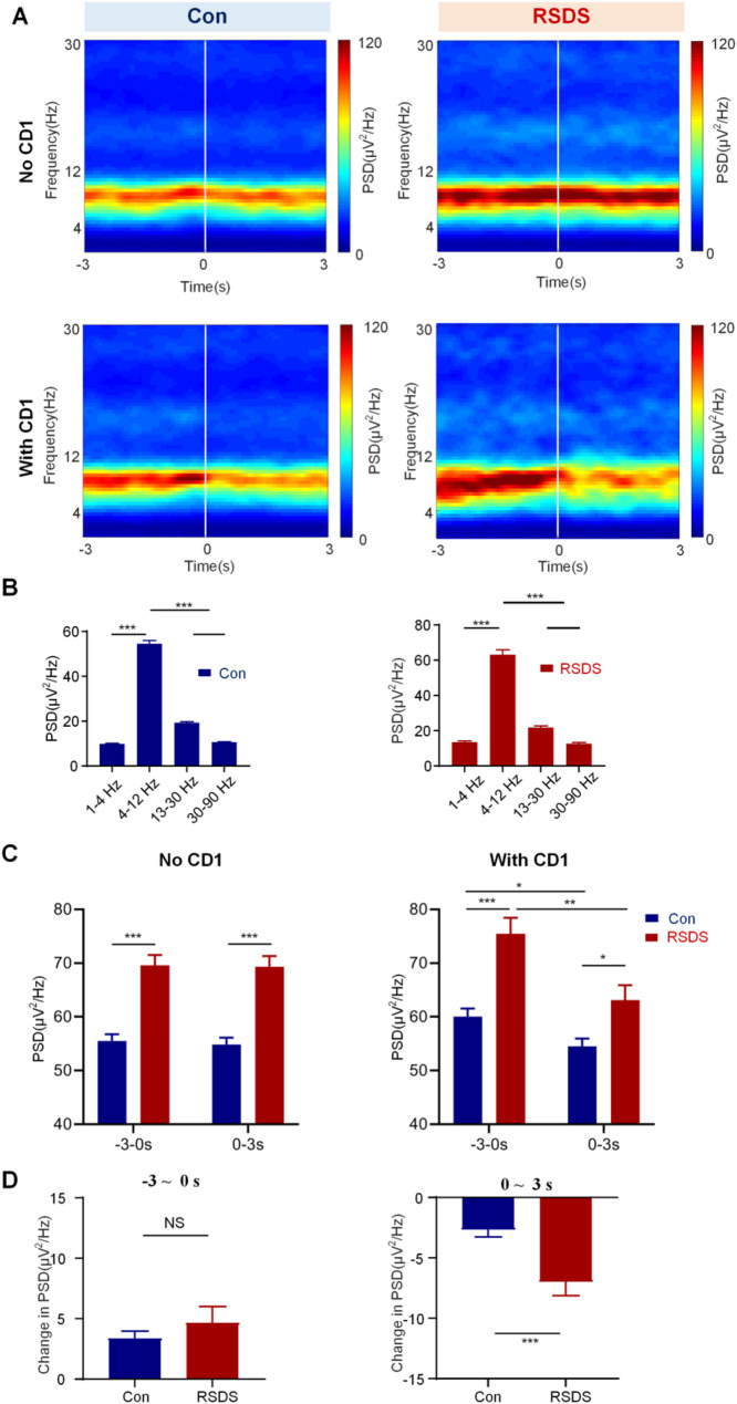 Altered theta oscillations in basolateral amygdala and ventral hippocampus related to social defeat.