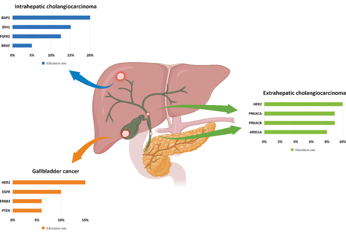 Targeted therapies and immunotherapies for unresectable cholangiocarcinoma.