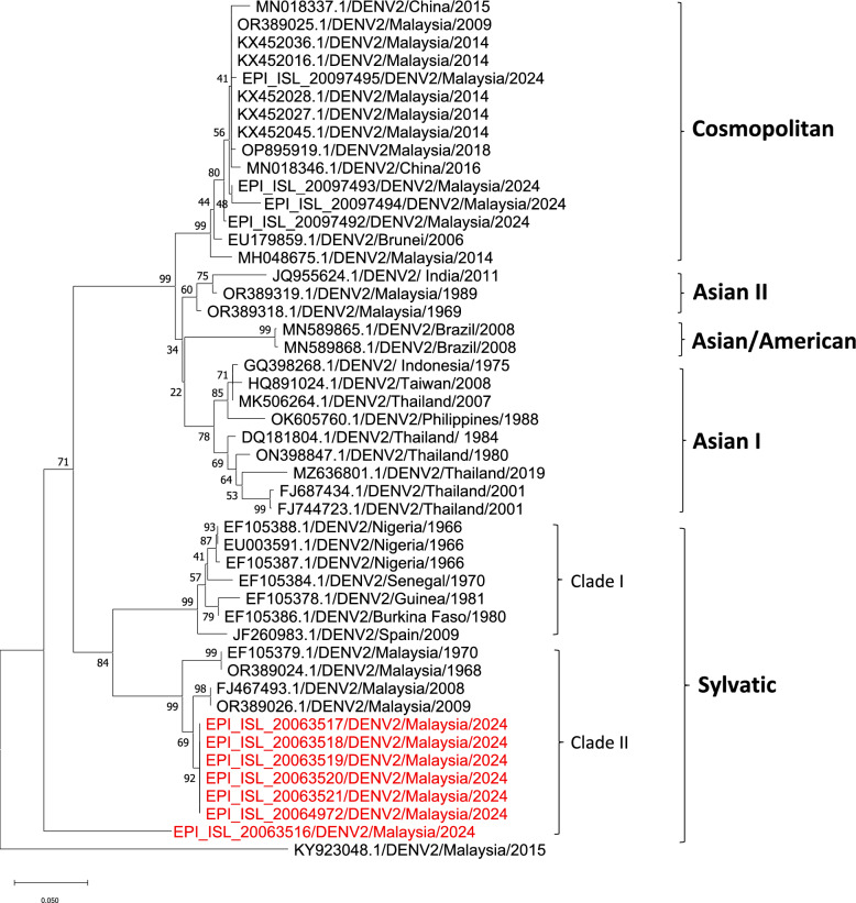 Genomic evidence links human dengue cases with undetermined serotypes to sylvatic lineages.