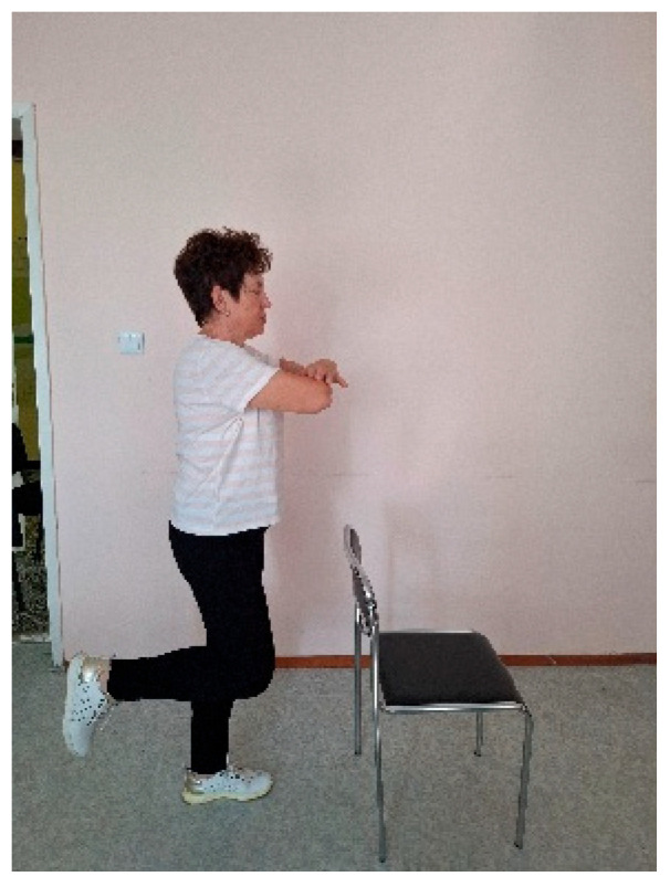 Effectiveness of Proprioceptive Training on Postural Stability and Chronic Pain in Older Women with Osteoporosis: A Six-Month Prospective Pilot Study.