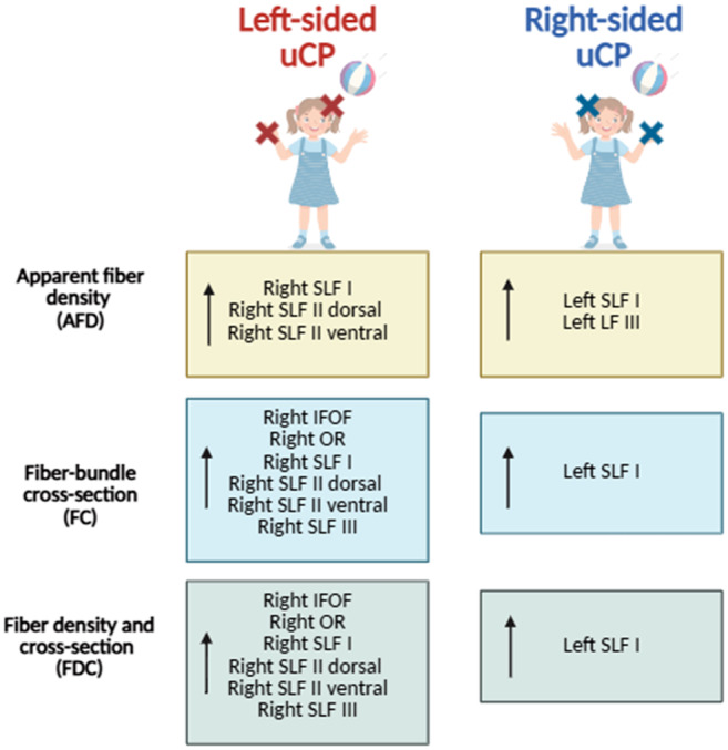 Neural micro and macrostructural correlates of visual outcomes in children with unilateral cerebral palsy: A fixel-based study.