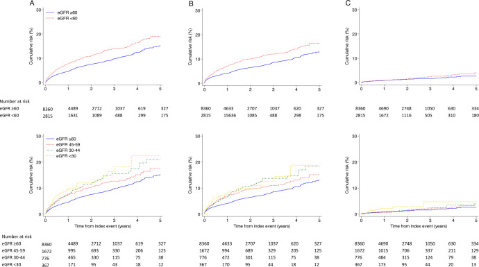Increased risk of recurrent stroke in patients with impaired kidney function: results of a pooled analysis of individual patient data from the MICON international collaboration.
