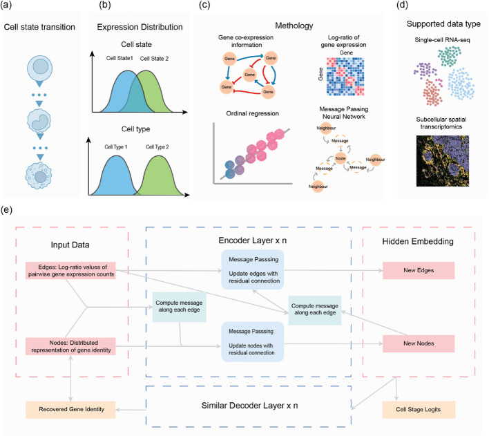 A message passing framework for precise cell state identification with scClassify2.