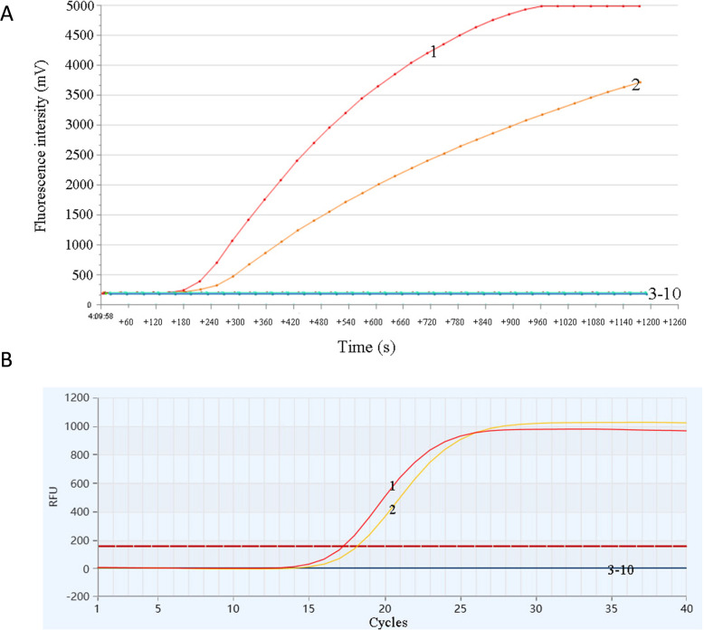 Establishment and comparison of RF-RAA and qPCR for rapid detection of Chinese soft-shelled turtle adenovirus (CSTAdV).