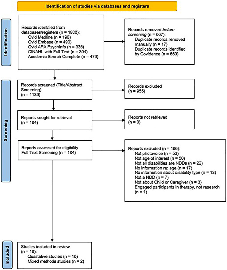 Using photovoice to engage underserved children with neurodevelopmental disorders and their caregivers in health research: a mixed methods systematic review.