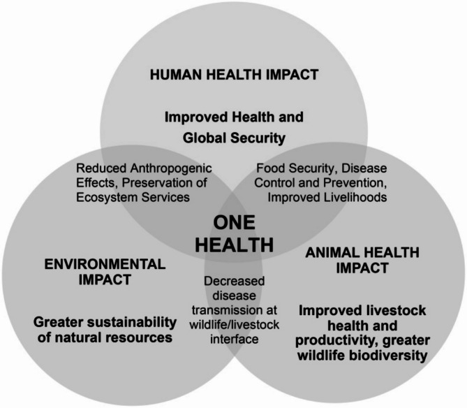 A review of zoonotic chlamydiae species in Africa: assessing their burden and potential impact through One Health perspective.