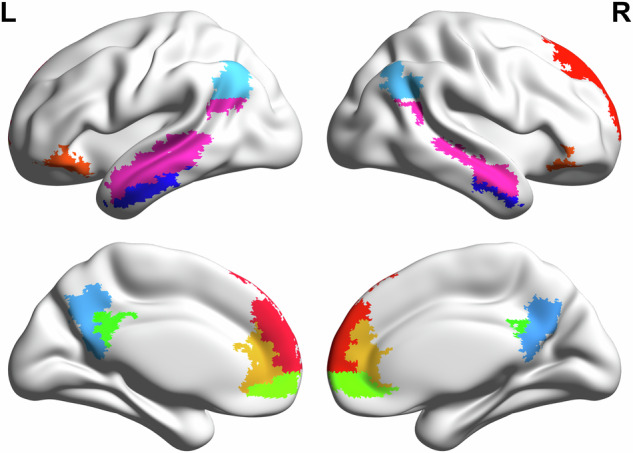 A psychoneuroimmunological underpinnings of the relationship between childhood trauma, loneliness, and depression in older adults.