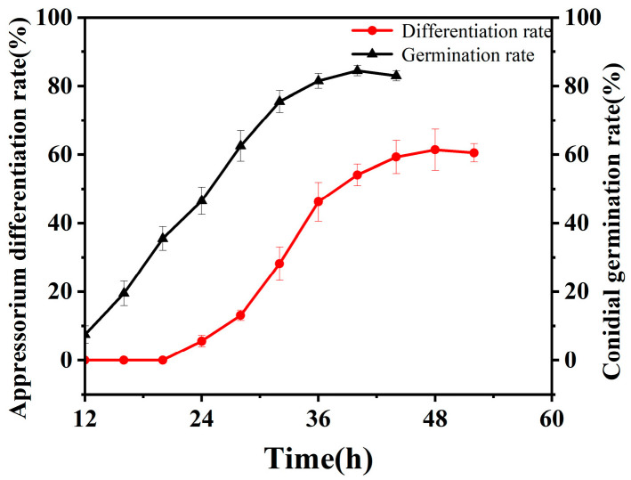 Analysis of the Effects of <i>Beauveria bassiana</i> Appressorium Formation on Insect Cuticle Metabolism Based on LC-MS.